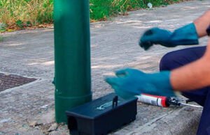 Cagliari, numerosi interventi contro la proliferazione di roditori in diverse zone della città: ecco quando