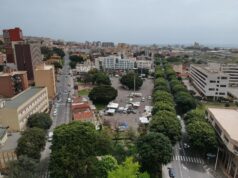 Viale Trieste, opposizione all’attacco | No alla sostituzione dei ficus