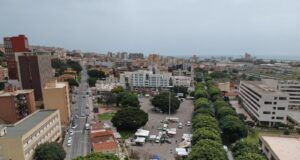 Viale Trieste, opposizione all’attacco | No alla sostituzione dei ficus