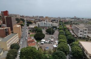 Viale Trieste, opposizione all’attacco | No alla sostituzione dei ficus