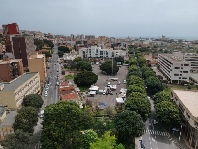 Viale Trieste, opposizione all’attacco | No alla sostituzione dei ficus