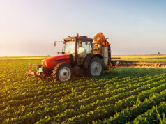 Agricoltura, Piana (CSA): bisogna puntare sui giovani per rilanciare il settore