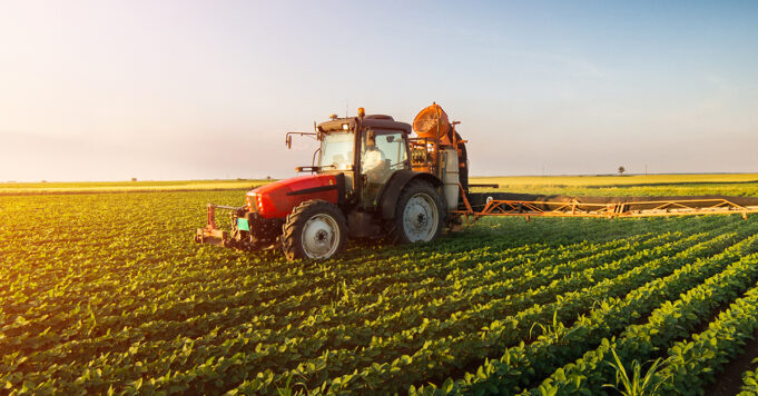 Agricoltura, Piana (CSA): bisogna puntare sui giovani per rilanciare il settore