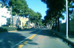 Verde pubblico: stop al Comune per il taglio di 190 alberi