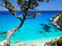 Sceicchi in Sardegna | Giù le mani dall’Ogliastra