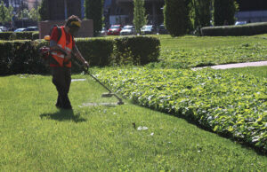 La cura del verde dà lavoro a quasi 1200 addetti, ma pesa molto il “nero”