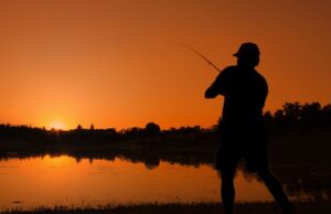 Pesca, Camera approva proposta di legge per aiutare il comparto ittico