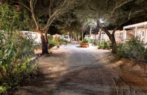 Trasporti, prezzi in calo per la Sardegna Federcamping: “Il danno è fatto”