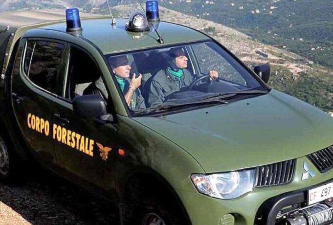 Beccati ad abbandonare rifiuti per strada, rischiano multa fino a 3mila euro