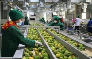 Agroalimentare, la Città metropolitana di Cagliari si candida per progetto da 10milioni