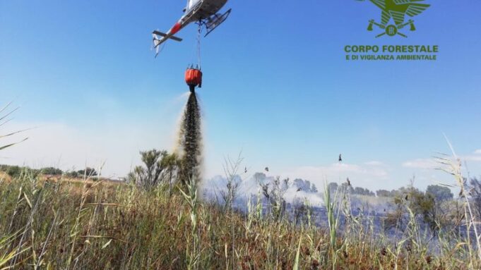 Vasto rogo a Budoni: in azione 2 elicotteri del Corpo forestale