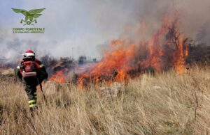 Vasto incendio a Villacidro: in azione un elicottero