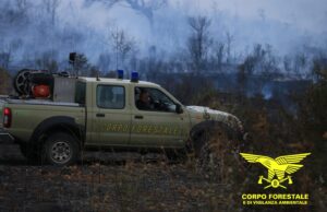 Incendio a Monteleone Roccadoria, intervento dei mezzi aerei