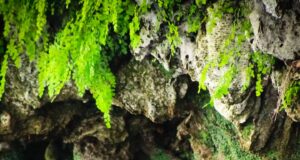 Non solo bici: tre paesi dell’interno uniti per un turismo sostenibile