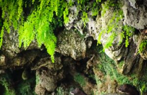 Non solo bici: tre paesi dell’interno uniti per un turismo sostenibile