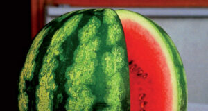 Coldiretti: parte la festa della frutta estiva nei mercati di Campagna Amica