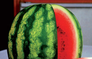 Coldiretti: parte la festa della frutta estiva nei mercati di Campagna Amica