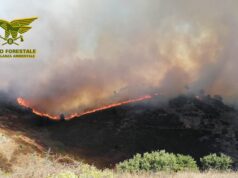 Incendi in Sardegna: oggi 18 roghi, due hanno richiesto intervento di elicotteri