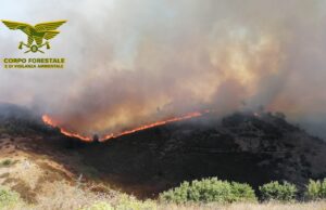 Incendi in Sardegna: oggi 18 roghi, due hanno richiesto intervento di elicotteri