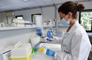 Omicron, isolata la nuova sottovariante XJ