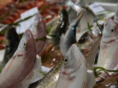 Cagliari, vende la droga insieme alle orate: arrestato pescivendolo