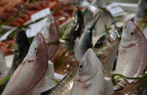 Cagliari, vende la droga insieme alle orate: arrestato pescivendolo