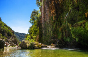 Aree protette, dalla Regione 200mila ai Comuni che le valorizzano