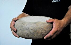 Export, le imprese sarde del food incontrano buyer da Usa, Europa e Asia