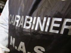 Sanità: Fp Cgil, bene controlli Nas su servizi di salute mentale