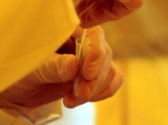 Covid, Italia: 1.534 nuovi positivi, aumentano i decessi