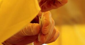 Covid: 305 nuovi casi in Sardegna, tasso di positività al 4,6%