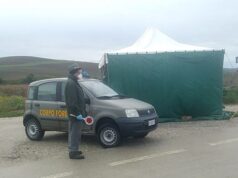 Covid, controlli a tappeto del Corpo forestale in porti e aeroporti Corpo Forestale 1