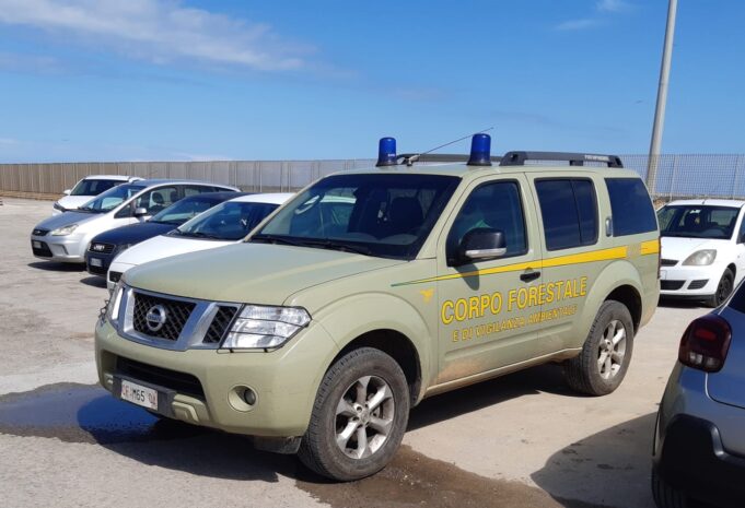 Covid, controlli a tappeto del Corpo forestale in porti e aeroporti