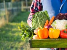 Coldiretti | 217 specialità tradizionali sarde salvate dalla pandemia cibo