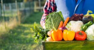 Coldiretti | 217 specialità tradizionali sarde salvate dalla pandemia cibo