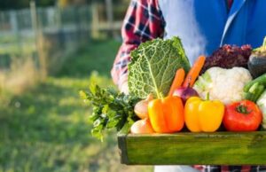 Coldiretti | 217 specialità tradizionali sarde salvate dalla pandemia cibo