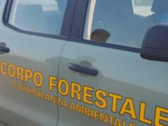 Covid: in 10 giorni 2.435 controlli del Corpo Forestale nell’isola corpo forestale
