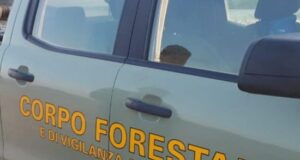 Covid: in 10 giorni 2.435 controlli del Corpo Forestale nell’isola corpo forestale