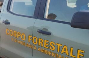 Corpo Forestale, convalidato arresto dell’incendiario di Sinnai corpo forestale