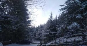 Bufera di neve sulle cime del Gennargentu: le immagini da Su Separadorgiu neve