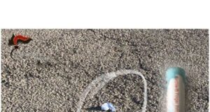 Alghero: sorpreso con la cocaina nascosta nella mascherina, fugge, ma viene arrestato