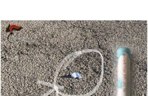 Alghero: sorpreso con la cocaina nascosta nella mascherina, fugge, ma viene arrestato