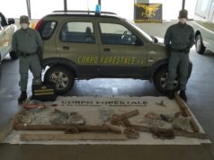 Cabras: piazzava cavetti d’acciaio per catturare cinghiali a Is Arutas, scoperto e denunciato dalla Forestale