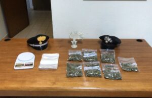 Assemini: i Carabinieri trovano 250 grammi di marijuana in un cespuglio vicino alle case popolari