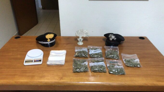 Assemini: i Carabinieri trovano 250 grammi di marijuana in un cespuglio vicino alle case popolari