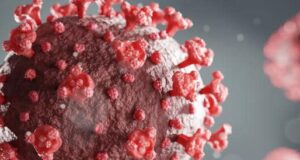 Covid in Italia: il tasso di positività cala al 5,9%, altri 376 i morti