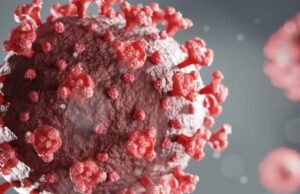 Covid, Oristano: prosegue la chiusura delle scuole n.3 fino a cessazione dell’emergenza