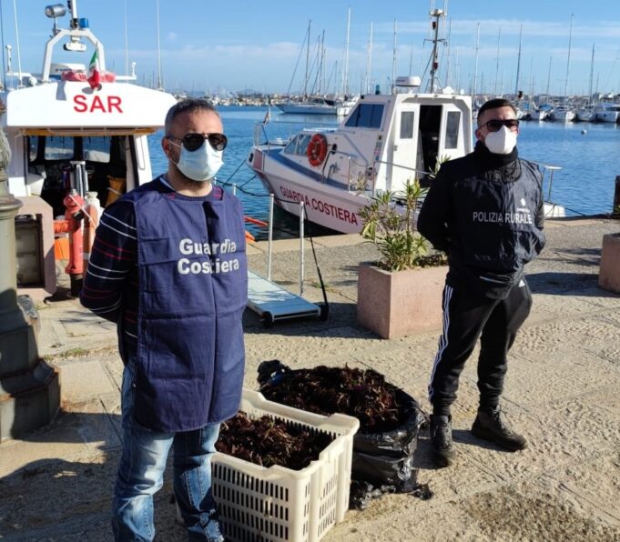 Alghero: pescatori di frodo sorpresi a prelevare ricci a Capo Caccia, tre denunce