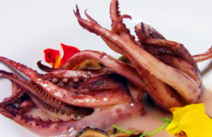 Allerta alimentare, Ministero della Salute richiama calamari al cadmio