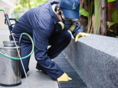 Cagliari, nuova disinfestazione contro i topi in via Lanusei